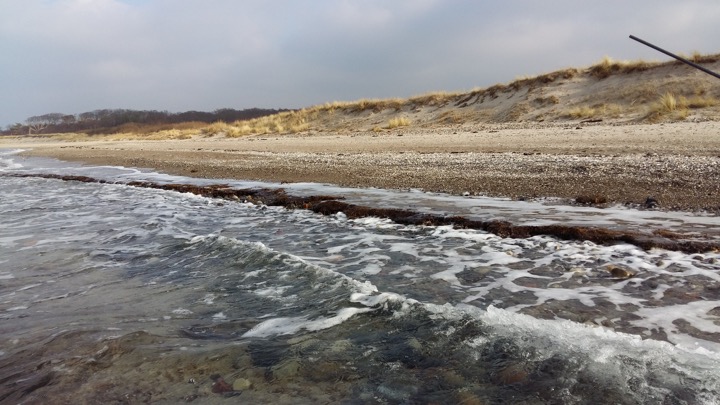 Coastal peat originating from the costal fen Huetelmoor reaching into the Baltic water. Foto: S.Pfaff