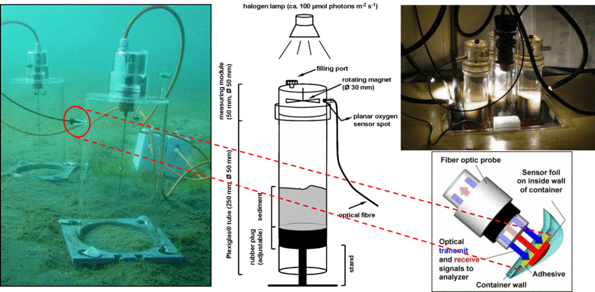 Benthic chamber on top of a shallow water sediment (left) including the oxygen optode measuring principle. Sediment core incubations for ex-situ oxygen measurements (middle, top right).