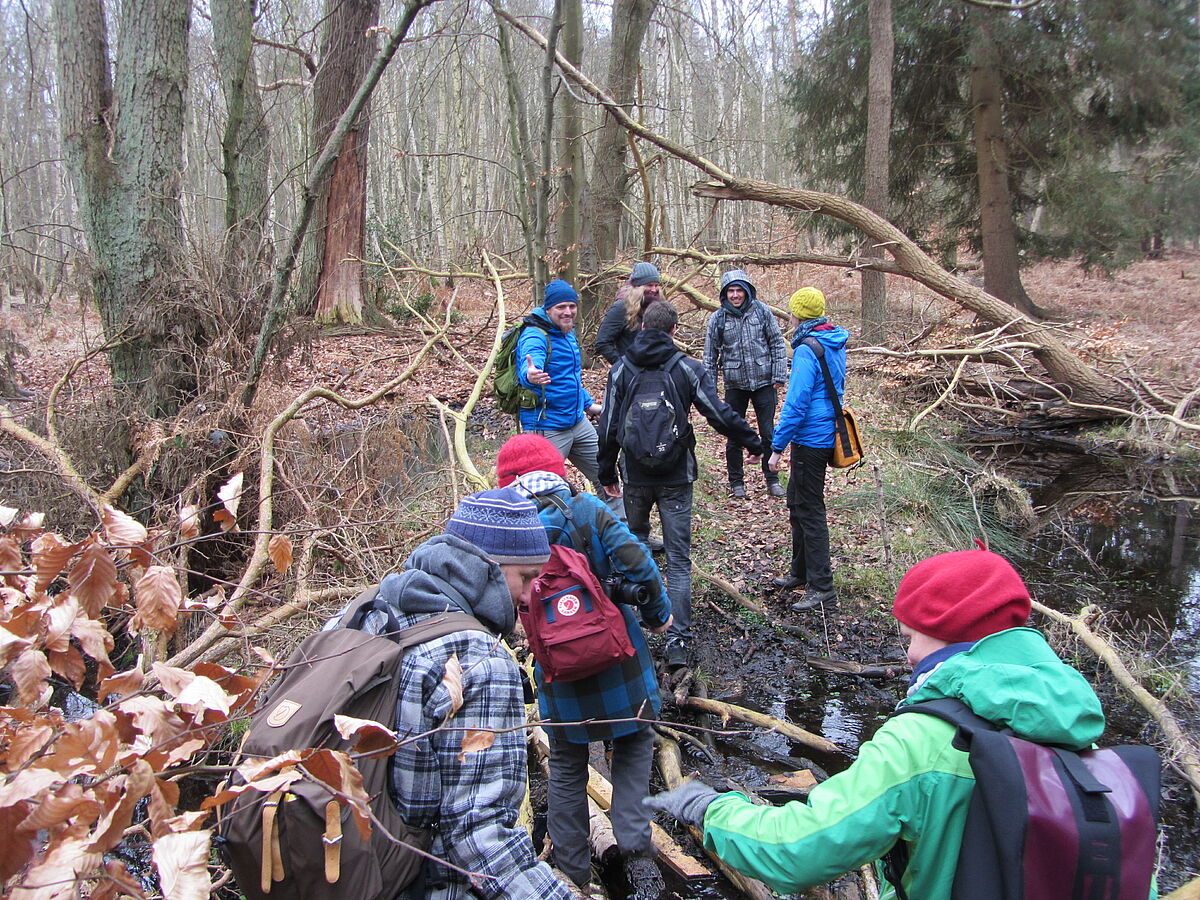 The group walks across the forest...