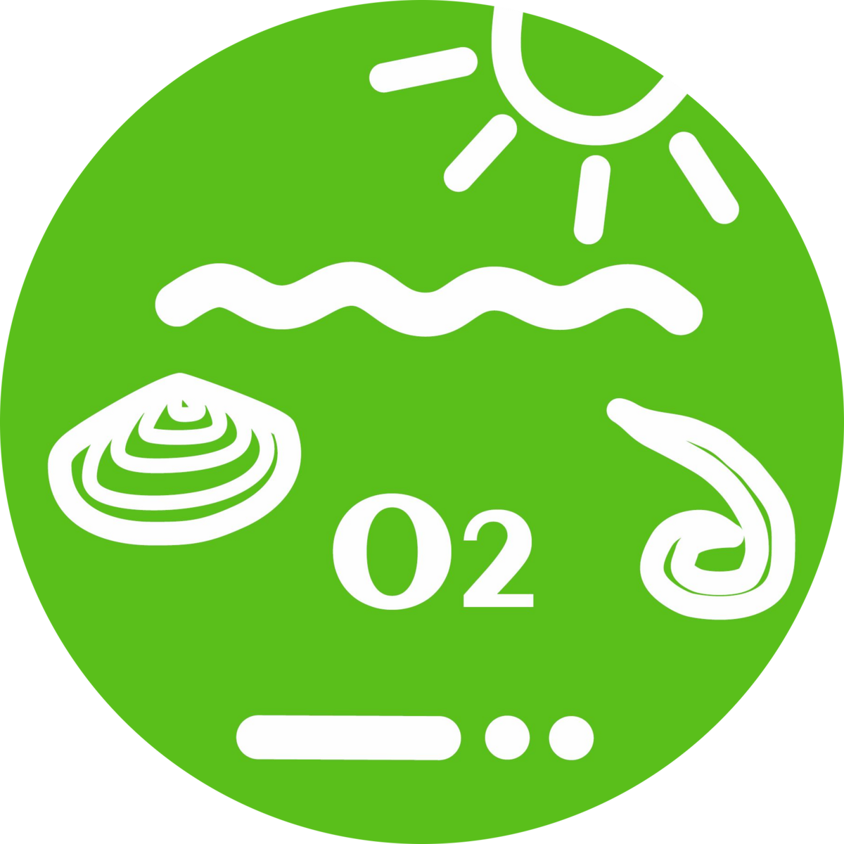 B4: Oxygen dynamics and matter cycling at the sediment-water-interface