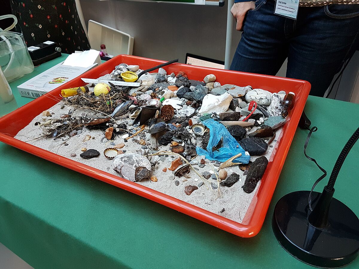 Go on a treasure hunt. What can be discovered in the sea sand? (Picture: N.Greve, Baltic TRANSCOAST, 2017) Go on a treasure hunt. What can be discovered in the sea sand? (Picture: N.Greve, Baltic TRANSCOAST, 2017)