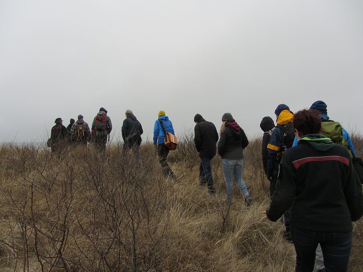 Walking across the dune