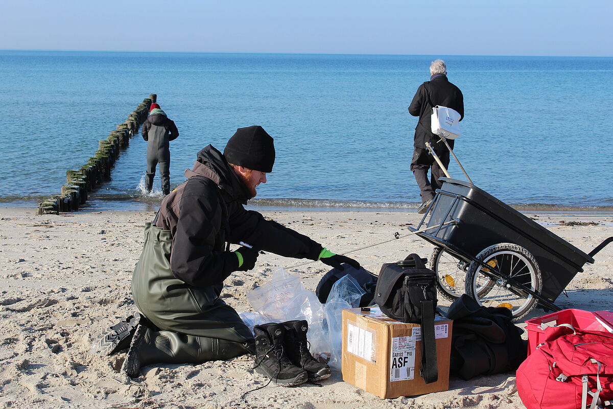 PhD student (JW) takes samples with the porewater lances in the study site "Hütelmoor" near Rostock, supported by assistant (BR) and supervisor Prof. M.E.B. (IOW), 14.02.2018 (Photo: N. Geißler/Baltic TRANSCOAST)