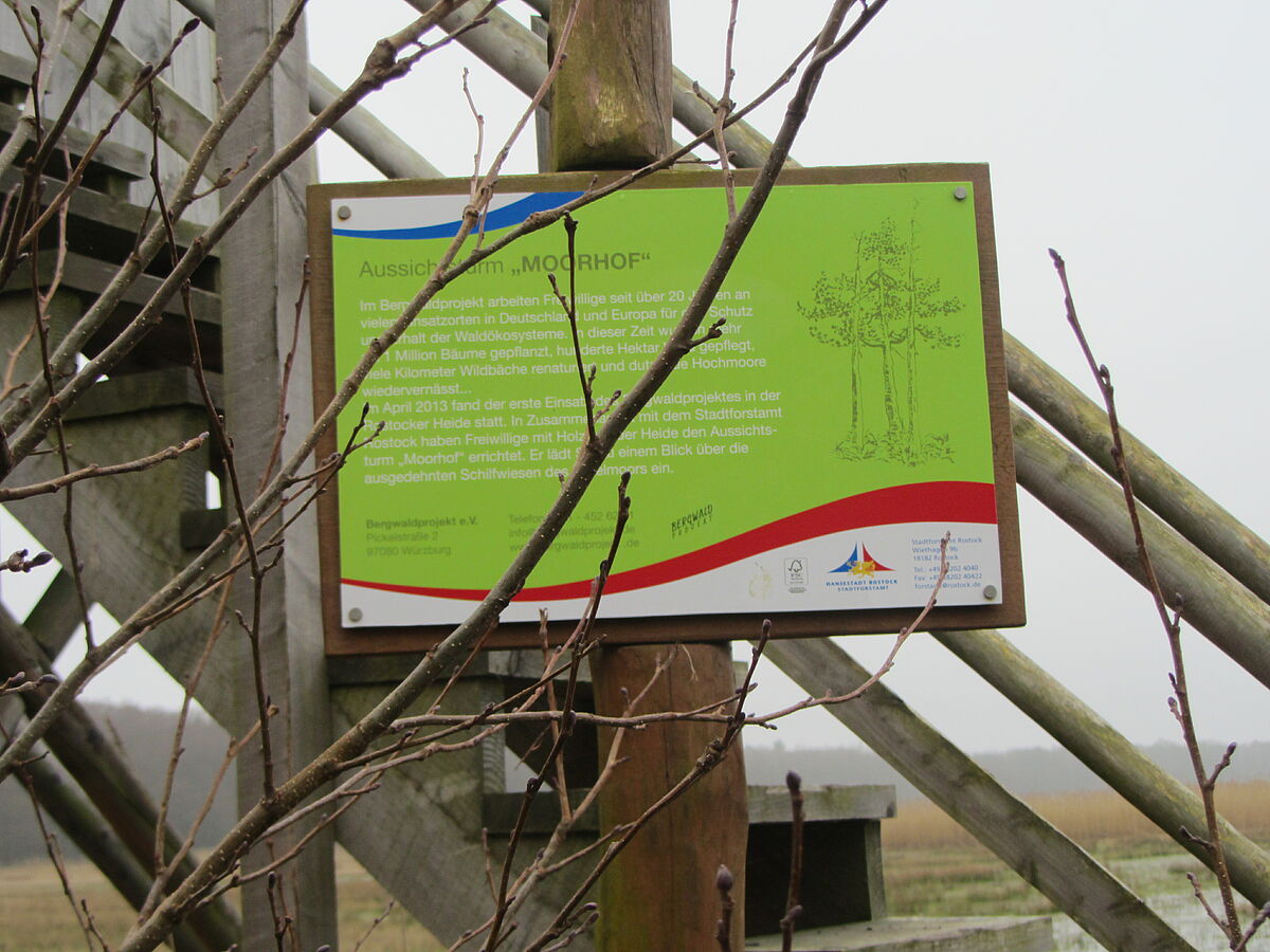 ...to the observation tower "Moorhof"