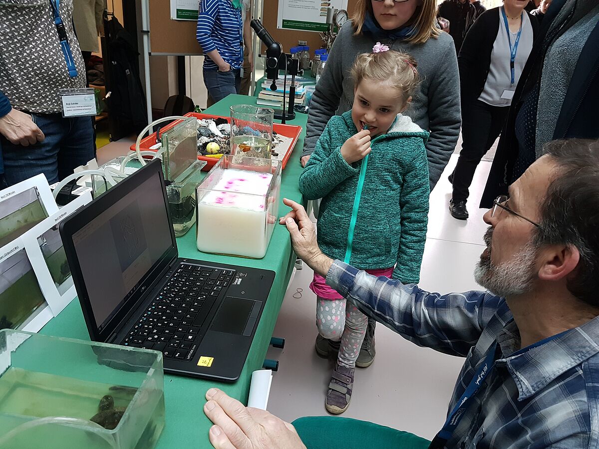 Youngsters are highly interested in the colorful model demonstrating the transport of oxygen from worm burrows (Picture: N.Greve/Baltic TRANSCOAST, 2017)