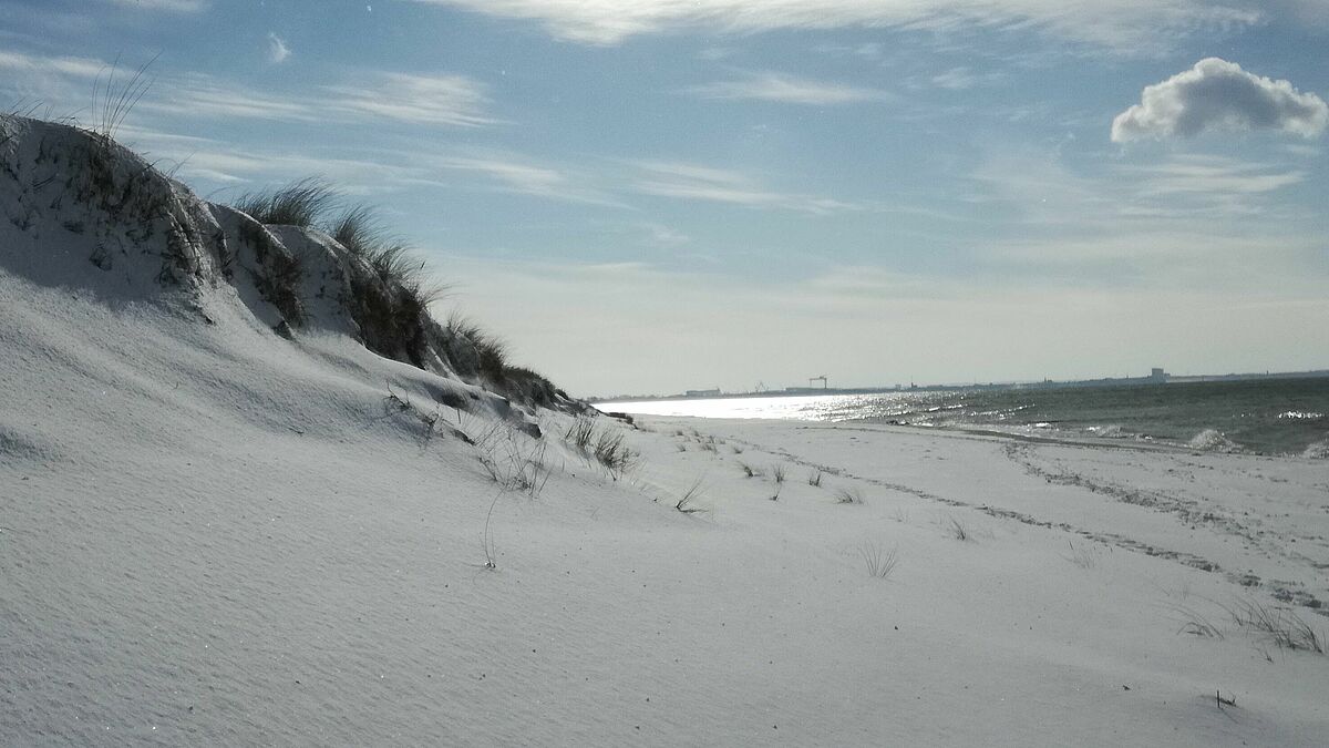 Study site Hütelmoor in February 2018 (Photo: S. Heller)