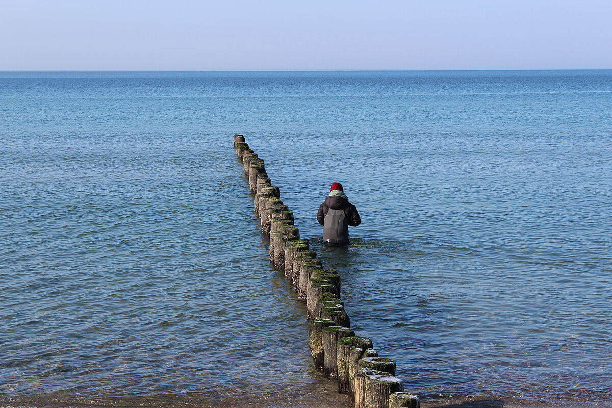 PhD student (JW) takes samples with the porewater lances in the study site "Hütelmoor" near Rostock, supported by assistant (BR) and supervisor Prof. M.E.B. (IOW), 14.02.2018 (Photo: N. Geißler/Baltic TRANSCOAST)